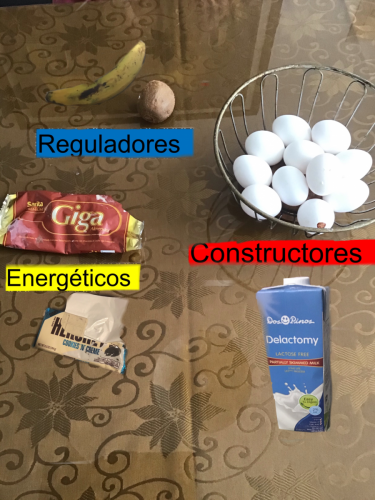 Tipos de alimentos, Renata Muñoz