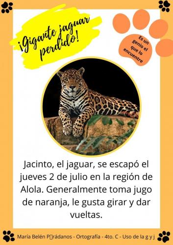 ¡Jaguar perdido! (1)
